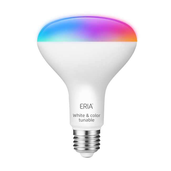 ERlA Colors and White BR30 65W